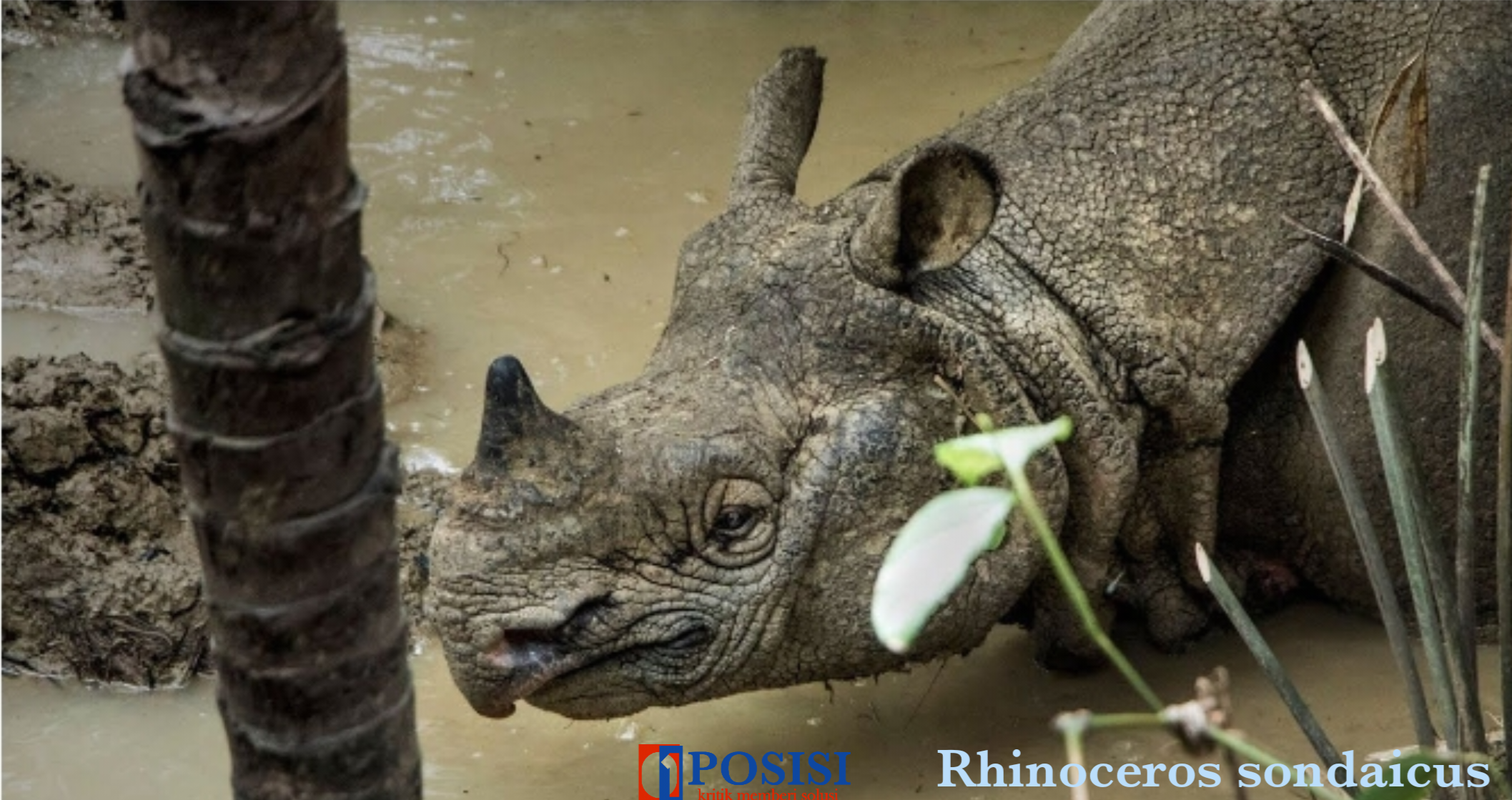 PosterMaker_12092023_083540